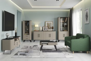 Стенка Фиделия, модульная (Олмеко) в Невьянске - nevyansk.mebel-e96.ru