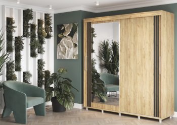 Шкаф-купе 2000 мм Форест крафт золотой(Стиль) в Невьянске - nevyansk.mebel-e96.ru