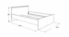 Кровать с ящиками Ольга-13 (1600) в Невьянске - nevyansk.mebel-e96.ru