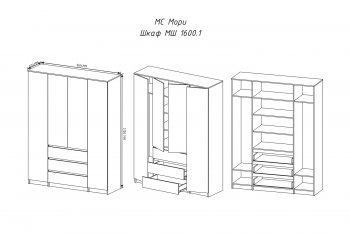 Шкаф распашной Мори 1600 мм графит (ДСВ) в Невьянске - nevyansk.mebel-e96.ru