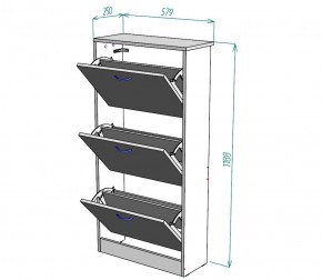 Обувница W7 (ДСС) в Невьянске - nevyansk.mebel-e96.ru