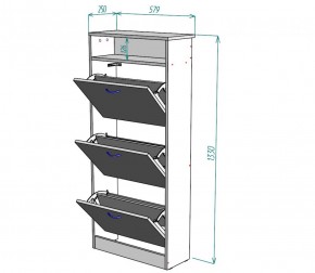 Обувница W9 (ЯАС) в Невьянске - nevyansk.mebel-e96.ru