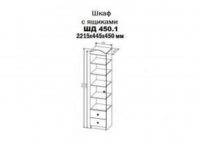 Шкаф-пенал KI-KI 450 мм, ШД450.1 (ДСВ) в Невьянске - nevyansk.mebel-e96.ru