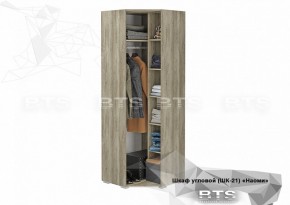 Шкаф угловой ШК-21 Наоми (БТС) в Невьянске - nevyansk.mebel-e96.ru