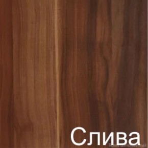 Стол-книжка (1-65) (ГК) в Невьянске - nevyansk.mebel-e96.ru