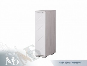 Тумба узкая ТБ-21 Кимберли (БТС) в Невьянске - nevyansk.mebel-e96.ru | фото